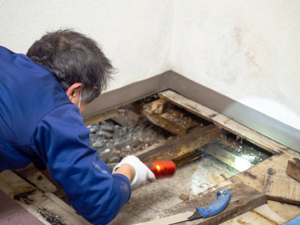 Best Mold Testing  in West Wyoming, PA