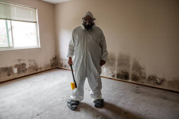 Best Office Mold Removal Services  in West Wyoming, PA